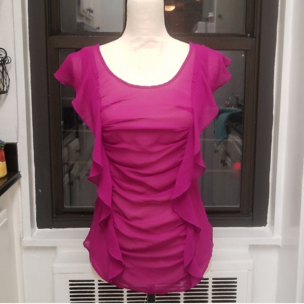 Express Sheer Ruffle Blouse